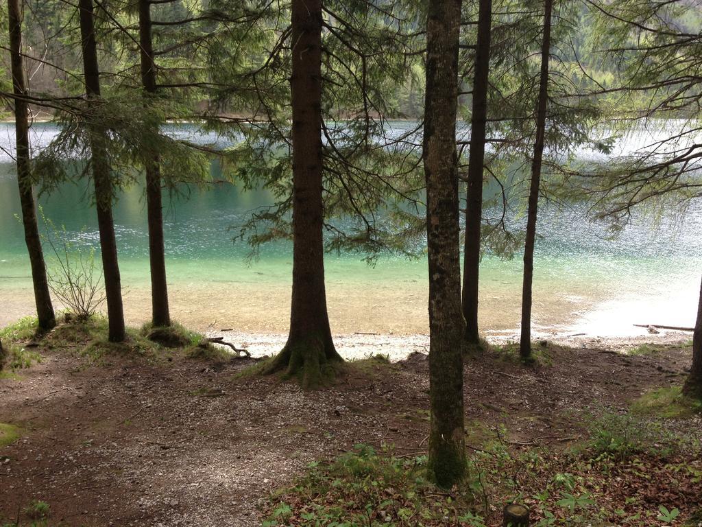 See 31, Ferienlofts Am Traunsee Apartment Traunkirchen Cameră foto